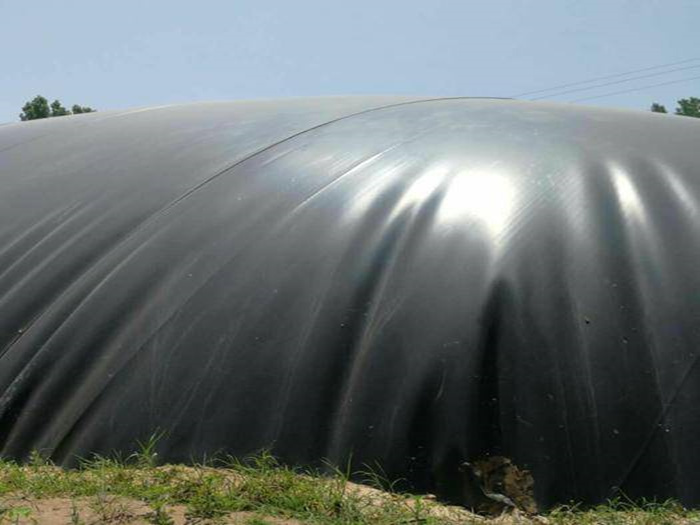 養(yǎng)豬場沼氣池也使用防滲土工膜: